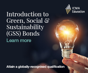 2022 ICMA homepage GSS bonds 